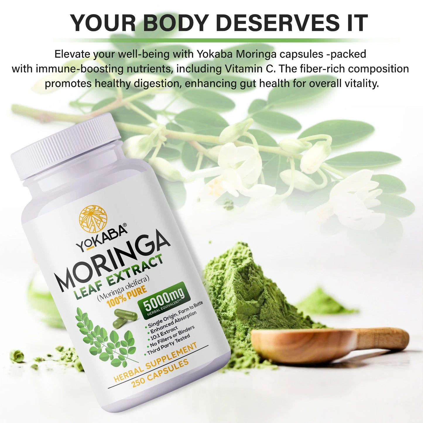 250 Capsules Moringa Oleifera Leaf Powder - Organic Herbal Extract